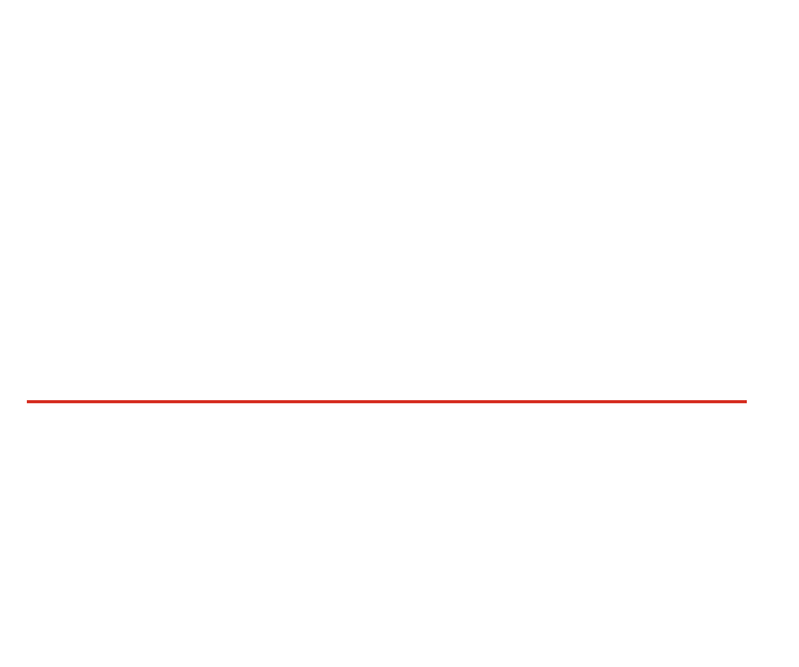Rita Ferreira da Silva — Advogada